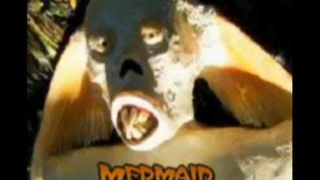 videoplayback - 2026-01-31T112310.491