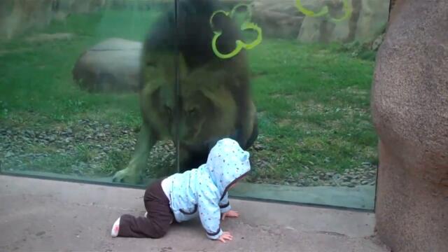 videoplayback - 2026-01-31T112333.076