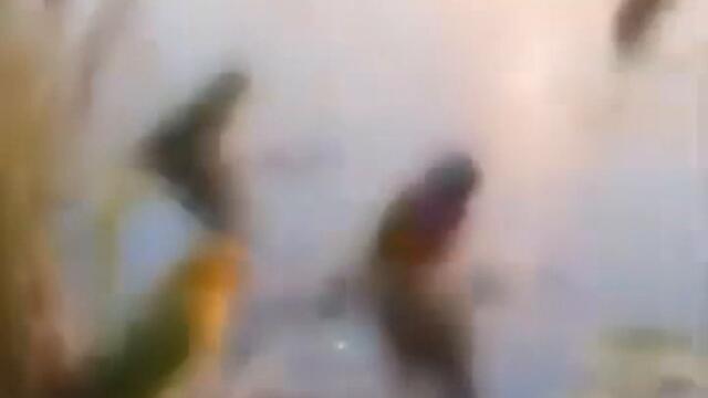 videoplayback 11
