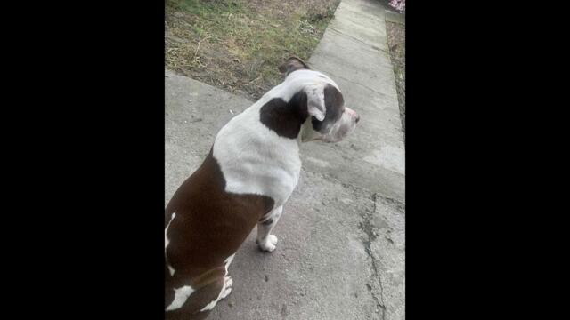 Garjoka - BLIZNAKA ⧸ Близнака prod. by Denis Merg