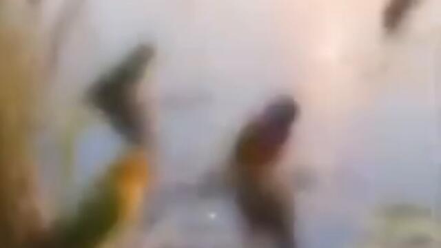 videoplayback 11