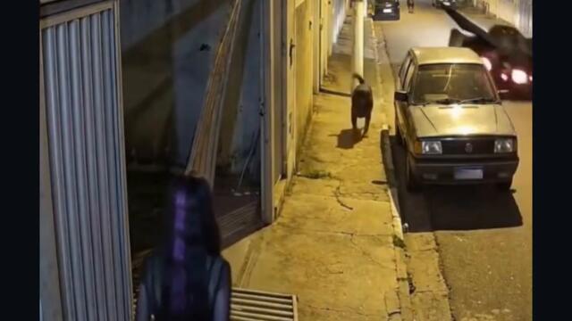 Мултивселената идва за него СМЯХ