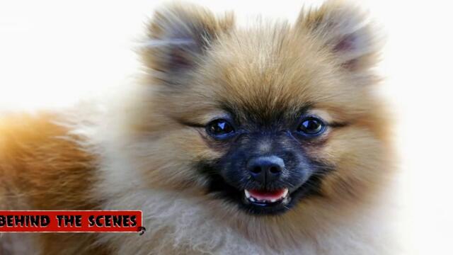 Семейство Озбърн иска да повярва - Светът се руши (Част 3) (БГ Аудио)