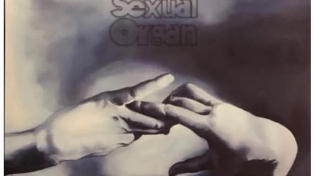 Clotted Symmetric Sexual Organ - Bara Bara Man