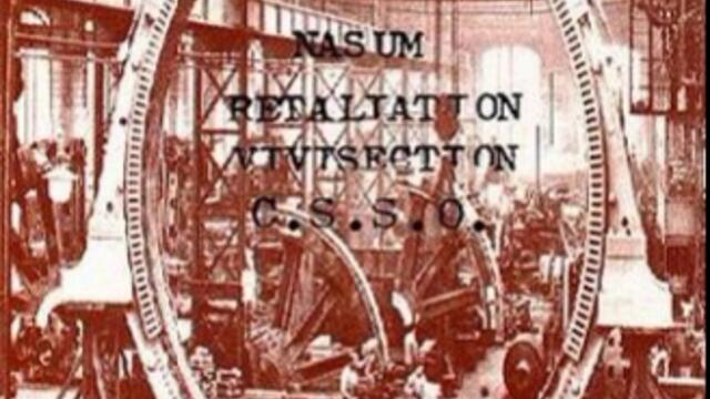 Clotted Symmetric Sexual Organ - Penisnatcher (Split)