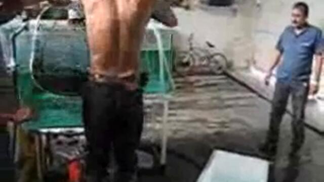 Hoplias aimara monster wolf fish captured in a fish tank