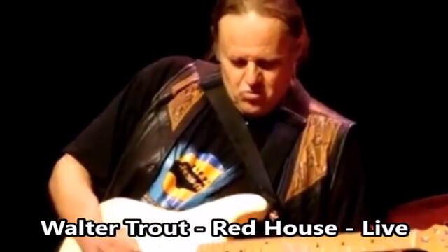 Walter Trout - Red House - live