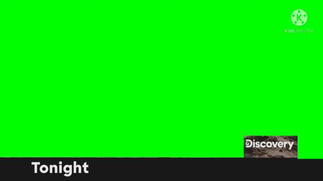 Discovery Tonight (2019-)