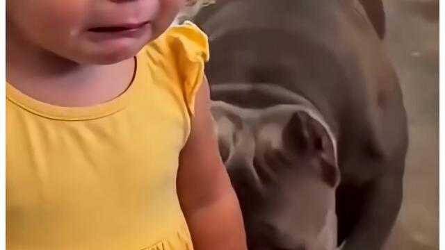 Да поплачеш на рамото на верен приятел.