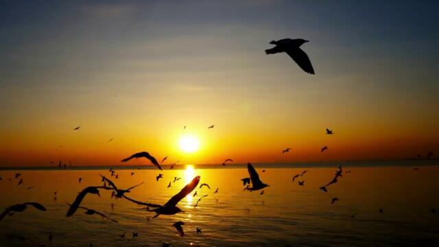 💛Утро ... (Николай Димов) ... (01.07.2026 г.)💛