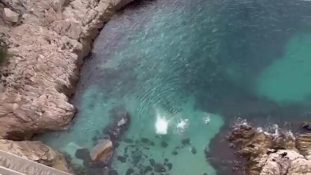 крачка дели скока в морето от инвалидния стол