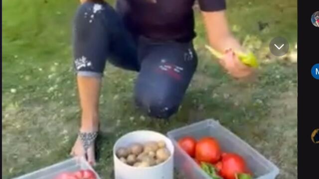 Атака лия прави тиквиник за митко planetcho каня ви на обяд с люти чушки и домати тиквиник няма бягаш от масата мите тя набрала