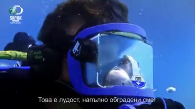 17K views · 85 reactions _ „Седмицата на акулите“ мигрира онлайн. Гледай всички предавания, посветени на тях, безплатно до края