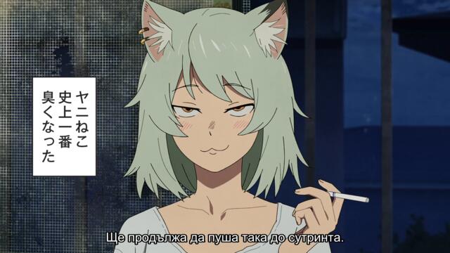 [ Бг Суб ] Котка пушач 06