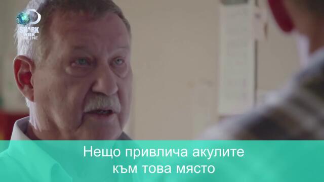 „Акула – сериен убиец“
